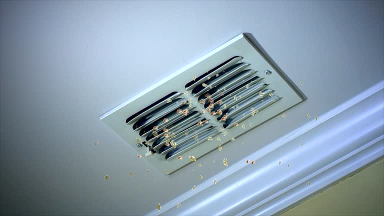 Best Commercial Air Duct Cleaning  in Sugar Grove, IL